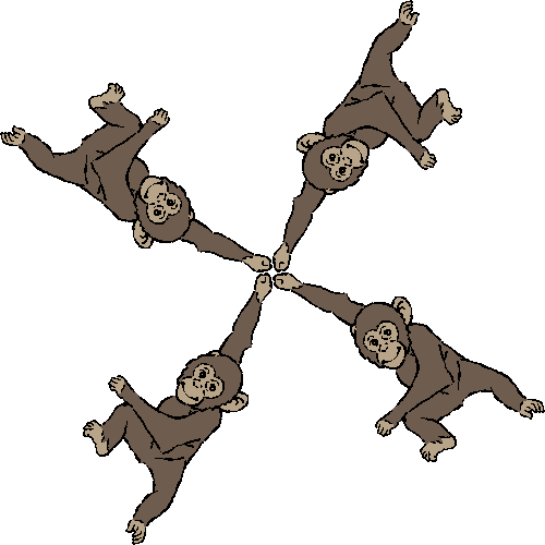 Chimpanzés fond d’écran
