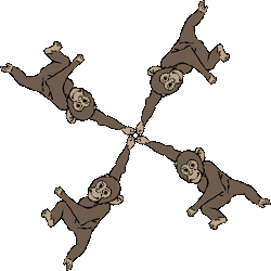 Chimpanzés image