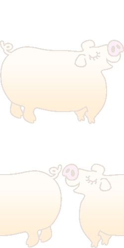 (ブタ)豚の壁紙
