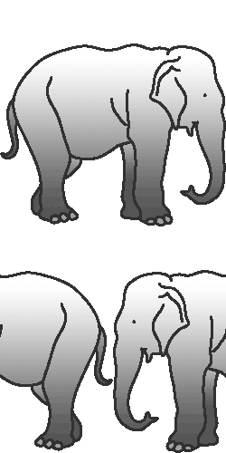 Elephants clip art
