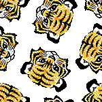 Tigers image