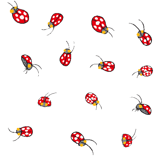 Lady beetle wallpaper