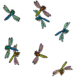 Anisoptera image