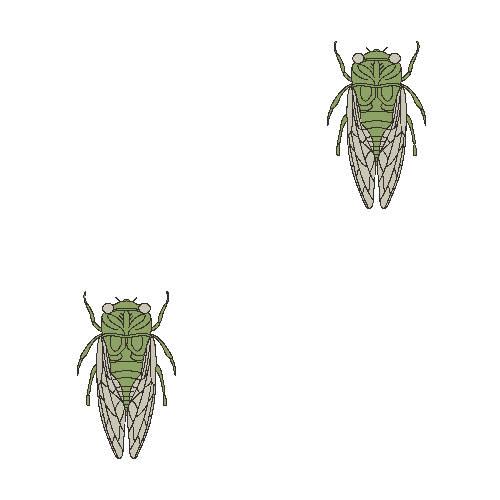 Cicadas clip art