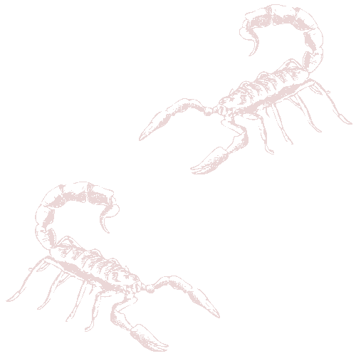 Scorpion images gratuites