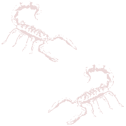 Scorpions graphic