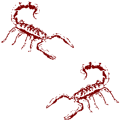 Scorpions image
