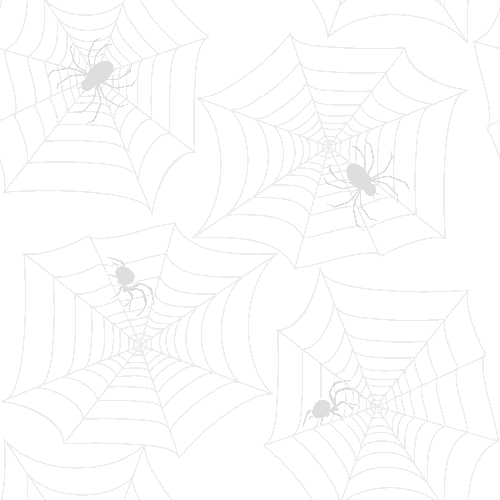 Spider & Cobweb