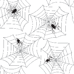 Spider's web image