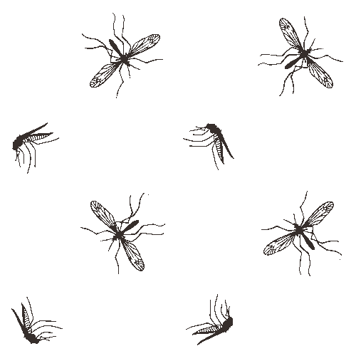 Mosquitos clip art