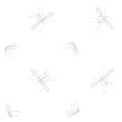 Mosquitos graphic