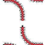 Centipedes image