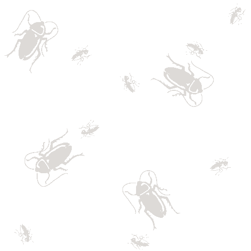 ゴキブリの壁紙