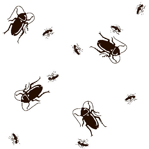 Cockroaches clip art