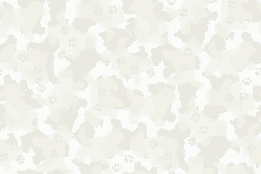 Camouflage militaire et chiens screensaver