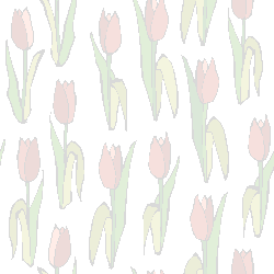 Tulips graphic