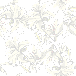 Liliums background