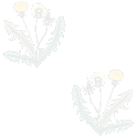 Dandelions graphic