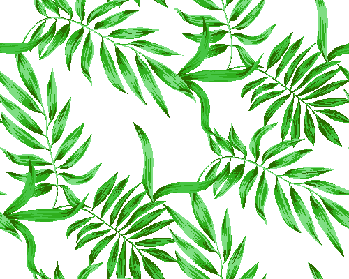 椰子の葉 ヤシの葉の壁紙 元画像 無料素材 壁紙tank