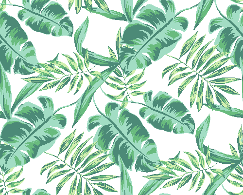 Jungle de feuilles fond d’écran