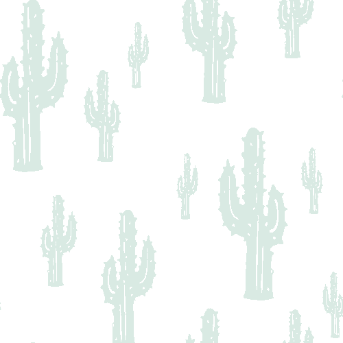 Cacti, Cactus