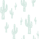 Cactuses background