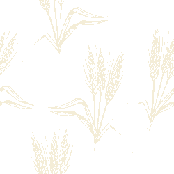 Ear of rice graphic