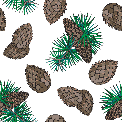 Conifer cones clip art