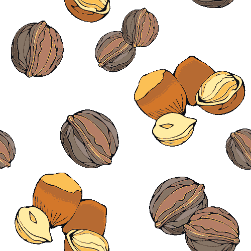 clipart of nuts - photo #4