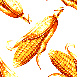 Corns clip art