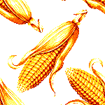 Corns image