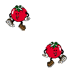 Tomatos image