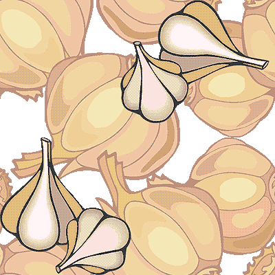 Garlics clip art