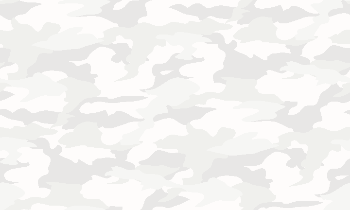 Camouflage pattern picture