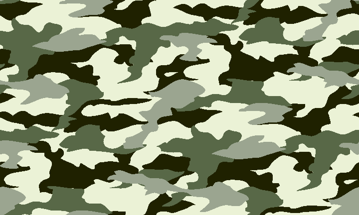 Camouflage image