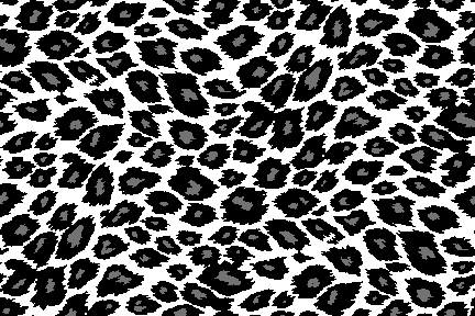 Peau de léopard image