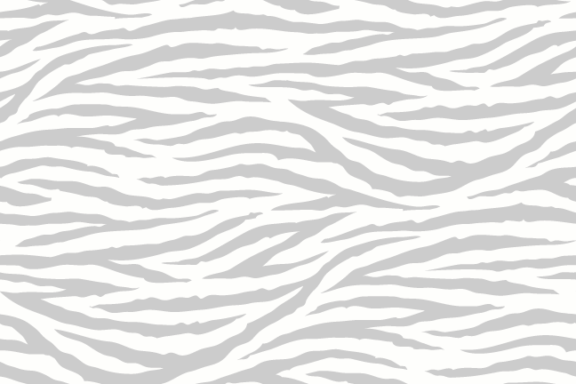 Zebra Prints-A picture