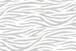 Zebra Prints-A background