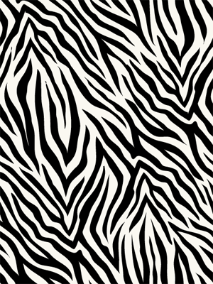 Zebra Print-B image