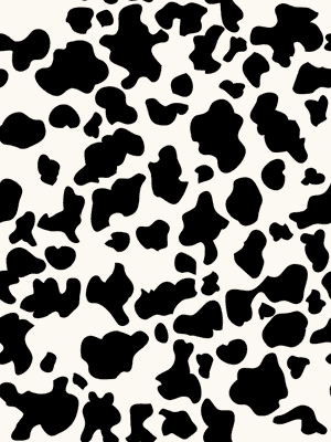 Peaux de vache, Holstein image