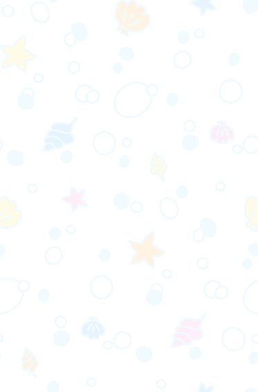 Coquillage et Étoile de mer