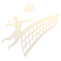 Volley ball graphic