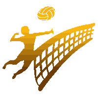 Volley ball image