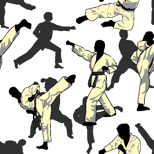 Karate fond d’écran