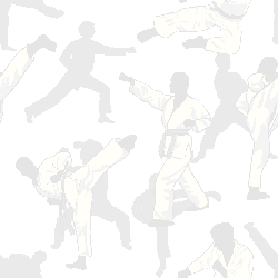 Karate graphic