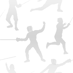 Fencing graphic