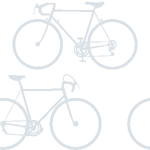 Bicyclette, Vélo
