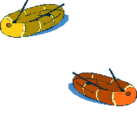 Inflatableboats image