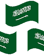 Arabie saoudite image